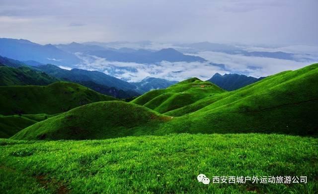 在四川农业银行存的定期存款5年预留的手机号换了5年后可以取钱吗？